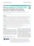 Molecular mapping of a novel lesion mimic gene (lm4) associated with enhanced resistance to stripe rust in bread wheat