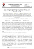 Crude extracts and essential oil of Platycladus orientalis (L.) Franco: a source of phenolics with antioxidant and antibacterial potential as assessed through a chemometric approach