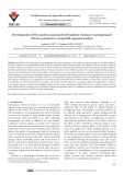 Development of DNA markers associated with sunburn resistance in pomegranate (Punica granatum L.) using bulk segregant analysis