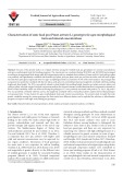 Characterization of some local pea (Pisum sativum L.) genotypes for agro-morphological traits and mineral concentrations