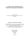 Doctoral thesis of Philosophy: An examination of the emergence and development of the acounting profession in developing countries: the case of Sri Lanka