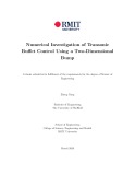 Master's thesis of Engineering: Numerical investigation of transonic buffet control using a two-dimensional bump