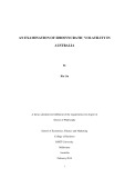 Doctoral thesis of Philosophy: An examination of idiosyncratic volatility in Australia