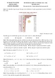 Đề thi ĐGNL môn Toán lớp 12 năm 2021-2022 có đáp án - Sở GD&ĐT Thái Bình