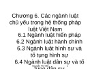 Bài giảng Pháp luật đại cương: Chương 6 - Các ngành luật chủ yếu trong hệ thống pháp luật Việt Nam