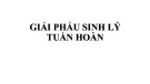 Bài giảng Giải phẫu sinh lý tuần hoàn - ThS. BS. Trần Quang Thảo
