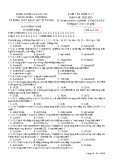 Đề thi giữa học kì 1 môn Hóa học lớp 12 năm 2022-2023 - Trường THPT Nguyễn Tất Thành (Mã đề 256)