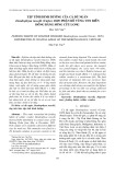 Tập tính dinh dưỡng của cá đù ngàn Dendrophysa russelii (Cuvier, 1829) phân bố vùng ven biển Đồng bằng sông Cửu Long