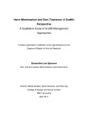 Master's thesis of Engineering: Harm minimisation and zero tolerance: a graffiti perspective