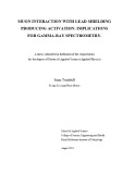 Master's thesis of Applied Science (Applied Physics): Muon interaction with lead shielding producing activation: implications for gamma-ray spectrometry