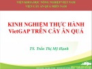 Bài giảng Kinh nghiệm thực hành VietGAP trên cây ăn quả - TS. Trần Thị Mỹ Hạnh