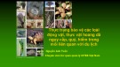 Bài giảng Thực trạng bảo vệ các loài động vật, thực vật hoang dã nguy cấp, quý, hiếm trong mối liên quan với du lịch