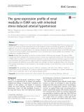 The gene-expression profile of renal medulla in ISIAH rats with inherited stress-induced arterial hypertension