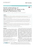 Genetic polymorphisms of pharmacogenomic VIP variants in the Mongol of Northwestern China