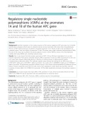 Regulatory single nucleotide polymorphisms (rSNPs) at the promoters 1A and 1B of the human APC gene
