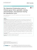 The dopamine β-hydroxylase gene in Chinese goose (Anas cygnoides): cloning, characterization, and expression during the reproductive cycle