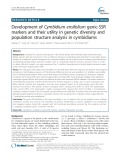 Development of Cymbidium ensifolium genic-SSR markers and their utility in genetic diversity and population structure analysis in cymbidiums