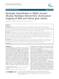 Karyotypic diversification in Mytilus mussels (Bivalvia: Mytilidae) inferred from chromosomal mapping of rRNA and histone gene clusters