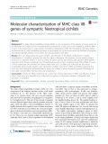 Molecular characterization of MHC class IIB genes of sympatric Neotropical cichlids