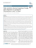 High resolution physical mapping of single gene fragments on pachytene chromosome 4 and 7 of Rosa