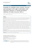 Variability of candidate genes, genetic structure and association with sugar accumulation and climacteric behavior in a broad germplasm collection of melon (Cucumis melo L.)