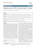 Mapping dynamic QTL for plant height in triticale