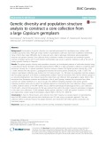 Genetic diversity and population structure analysis to construct a core collection from a large Capsicum germplasm