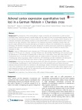 Adrenal cortex expression quantitative trait loci in a German Holstein × Charolais cross