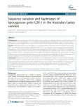 Sequence variation and haplotypes of lipoxygenase gene LOX-1 in the Australian barley varieties
