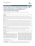Genetic diversity and relationship of Indian cattle inferred from microsatellite and mitochondrial DNA markers