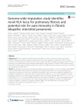 Genome-wide imputation study identifies novel HLA locus for pulmonary fibrosis and potential role for auto-immunity in fibrotic idiopathic interstitial pneumonia