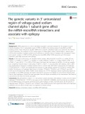 The genetic variants in 3’ untranslated region of voltage-gated sodium channel alpha 1 subunit gene affect the mRNA-microRNA interactions and associate with epilepsy