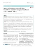 Genomic heterozygosity and hybrid breakdown in cotton (Gossypium): Different traits, different effects