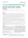 DArT, SNP, and SSR analyses of genetic diversity in Lolium perenne L. using bulk sampling