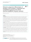 Molecular cytogenetic differentiation of paralogs of Hox paralogs in duplicated and re-diploidized genome of the North American paddlefish (Polyodon spathula)