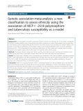 Genetic association meta-analysis: A new classification to assess ethnicity using the association of MCP-1 -2518 polymorphism and tuberculosis susceptibility as a model