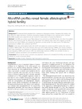 MicroRNA profiles reveal female allotetraploid hybrid fertility