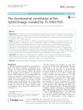 The chromosomal constitution of fish hybrid lineage revealed by 5S rDNA FISH