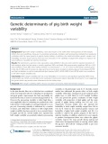 Genetic determinants of pig birth weight variability