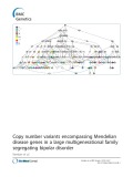 Copy number variants encompassing Mendelian disease genes in a large multigenerational family segregating bipolar disorder