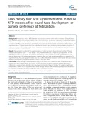 Does dietary folic acid supplementation in mouse NTD models affect neural tube development or gamete preference at fertilization?