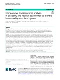 Comparative transcriptome analysis in peaberry and regular bean cofee to identify bean quality associated genes