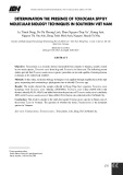 Xác định các loài Toxocara spp. bằng kỹ thuật sinh học phân tử ở miền Nam Việt Nam