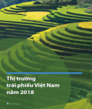 Thị trường trái phiếu Việt Nam năm 2018: Phần 1