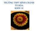 Bài giảng Hóa học lớp 10 bài 22: Clo (Tiếp theo) - Trường THPT Bình Chánh