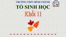 Bài giảng Sinh học lớp 11 bài 3: Thoát hơi nước - Trường THPT Bình Chánh