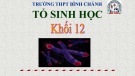 Bài giảng Sinh học lớp 12 bài 5: Nhiễm sắc thể và đột biến cấu trúc nhiễm sắc thể - Trường THPT Bình Chánh