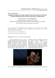 Emerging threats to the largest colony of bats in Vietnam and recommendations for sustainable conservation