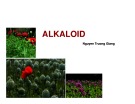 Bài giảng Kỹ thuật thu nhận hợp chất có hoạt tính sinh học từ thực vật: Chương 4 - Alkaloid