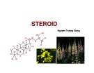 Bài giảng Kỹ thuật thu nhận hợp chất có hoạt tính sinh học từ thực vật: Chương 2 - Steroid